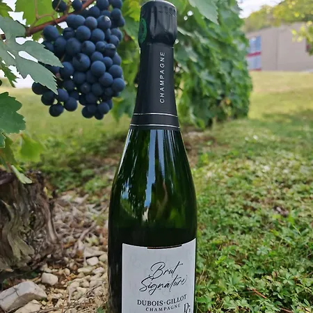 Villa Maison D'exception Aux Portes De Nigloland Argancon